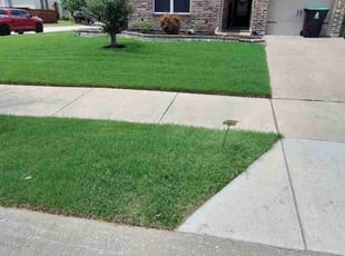 Zach F.'s gardening service service result