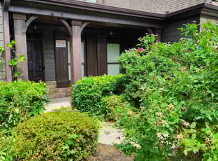 Carlyle J.'s Bush Trimming service result