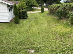 Brian V.'s grass cutting service result