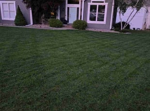 Evan J.'s lawn maintenance service result