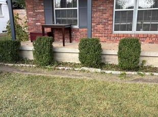 Tara S.'s Bush Trimming service result