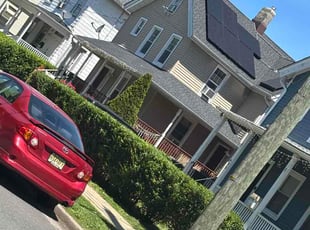 Shanae B.'s Bush Trimming service result