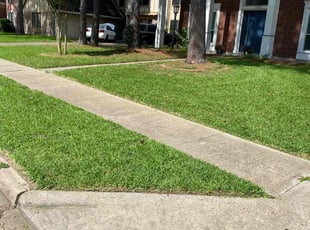 John H.'s lawn care service result