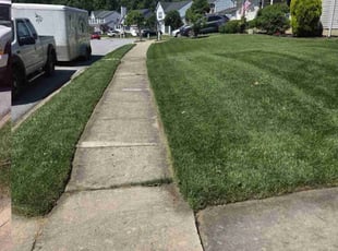 Kyle L.'s lawn care service result