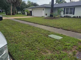 Carolyn J.'s turf care service result