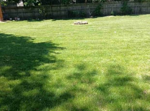 Kathy K.'s turf maintenance service result