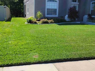 Jon M.'s lawn care services service result