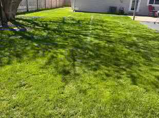 Francesca M.'s lawn care services service result