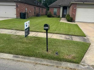 Mark L.'s yard care service result