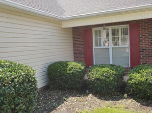 Angela A.'s Bush Trimming service result