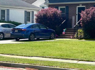Jeffrey H.'s turf care service result