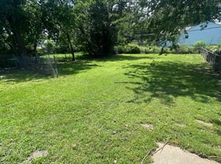 Daphne M.'s lawn care services service result