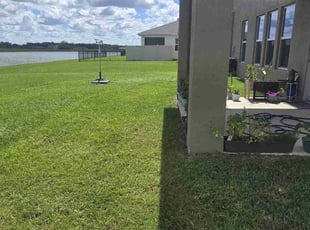 Stephanie R.'s grass maintenance service result