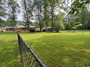 Brenda D.'s turf care service result