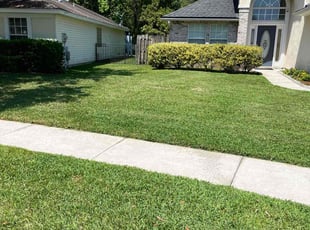 Jeudeen A..'s lawn service service result