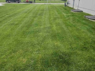 Arielle W.'s lawn maintenance service result