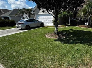 Christena C.'s turf maintenance service result