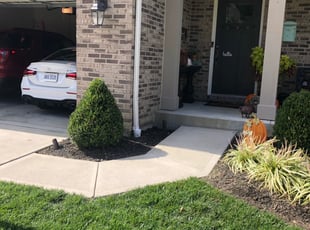 Tolu A.'s Bush Trimming service result