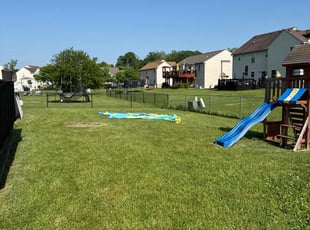 Reed D.'s lawn service service result