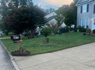 James G.'s lawn maintenance service result