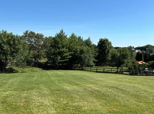 William E.'s grass cutting service result