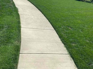 Daniel D.'s residential landscaping service result