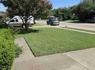 Polly M.'s lawn care service result