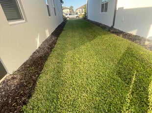 Martin W.'s lawn care services service result