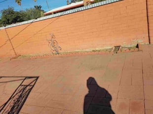 Stephanie C.'s lawn care services service result