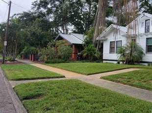 Michael A.'s turf care service result