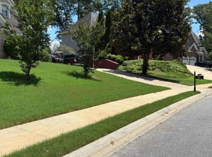 Alexa A.'s lawn service service result