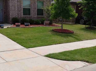 Mirna O.'s grass cutting service result