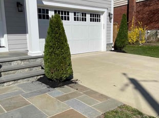 Albert B.'s Mulching service result