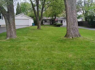 Suzy P.'s grass cutting service result