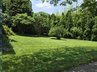 Dwana M.'s lawn maintenance service result