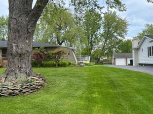 Alisha C.'s lawn care service result
