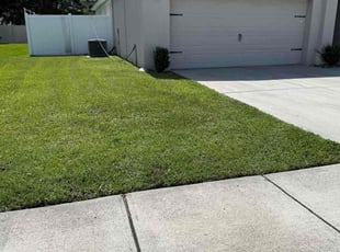 Develma P.'s turf maintenance service result