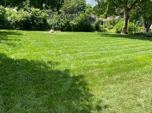 Andrew A.'s lawn care services service result