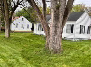 Latangela N.'s grass maintenance service result