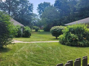 Teresa H.'s turf care service result