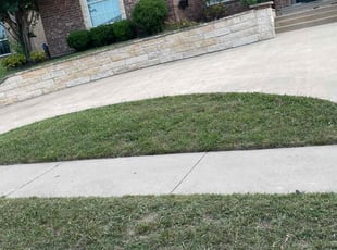 Sarah G.'s grass maintenance service result