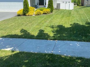 Moizz S.'s grass maintenance service result