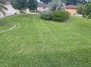 Agnita M.'s lawn service service result