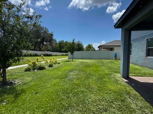 Andrew F.'s Long Grass Cleanup service result