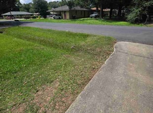 Albert V.'s grass cutting service result