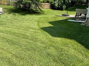 Therese C.'s turf care service result