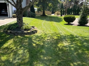 Kristi P.'s lawn care services service result