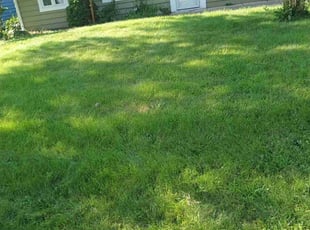 Chuck D.'s lawn care service result