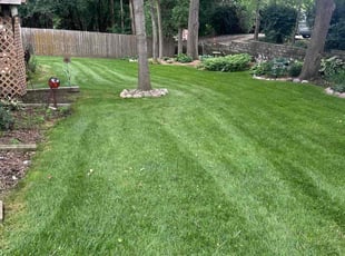 Marlene T.'s grass cutting service result