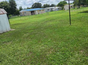 Willie T.'s lawn care service result